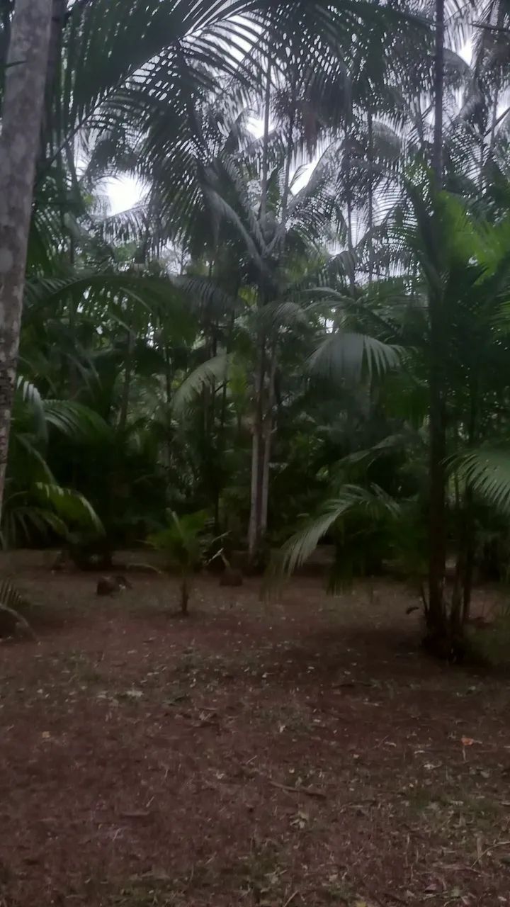 Terreno no Rio Salvador Grande  - Foto 2