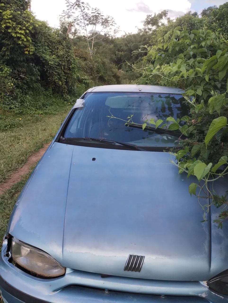 Fiat Palio Palio EL 1.5 mpi 2p e 4p 1996