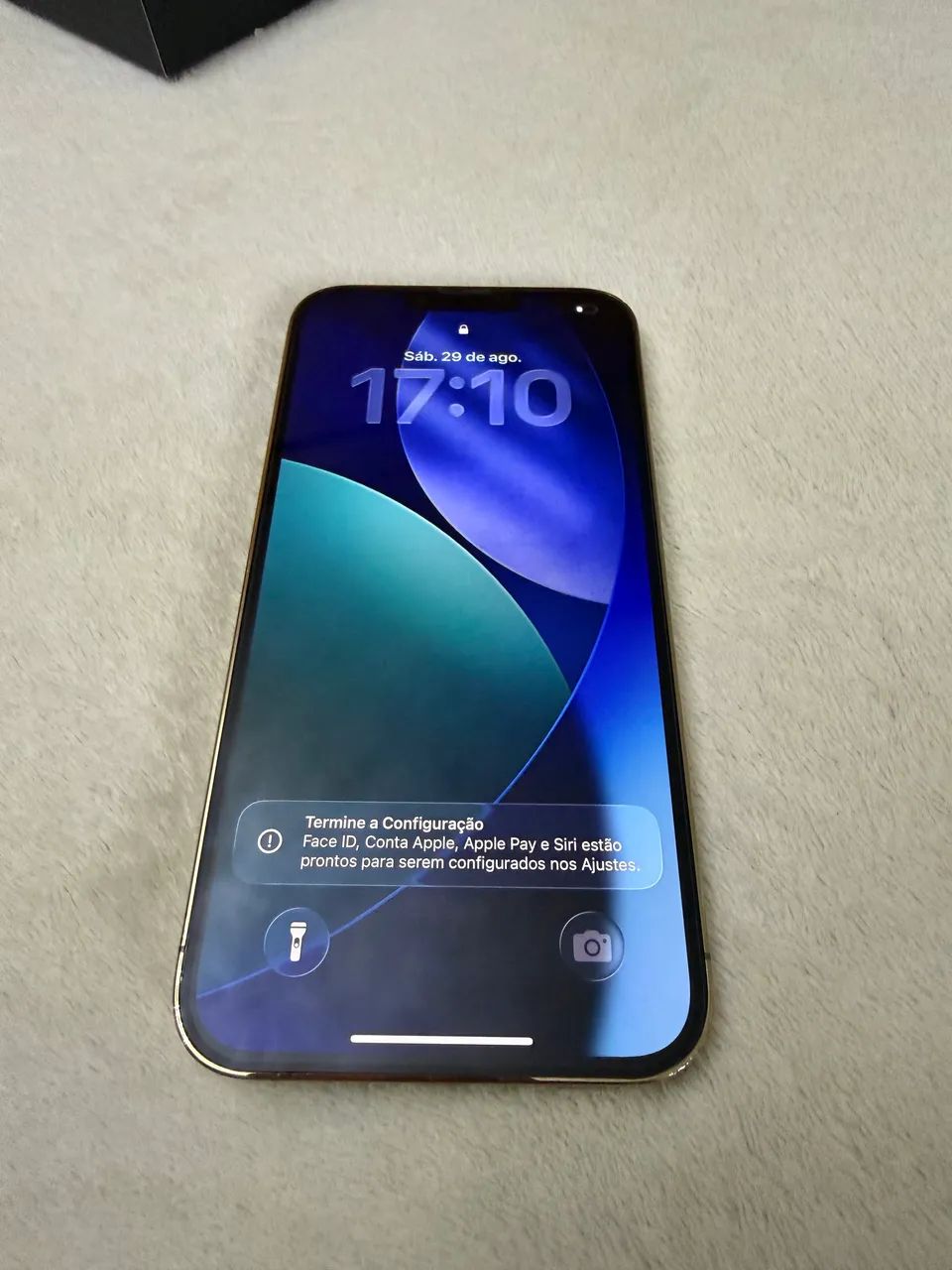 iPhone 13 Pro Max 256gb