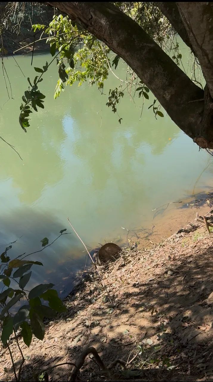 Chácara com rio dos bois no fundo - Foto 4