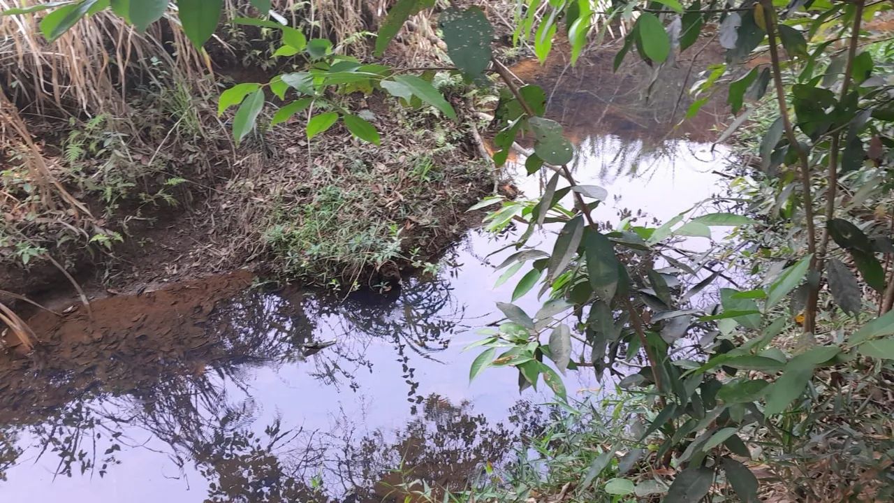 Terreno rural em juatuba  - Foto 2