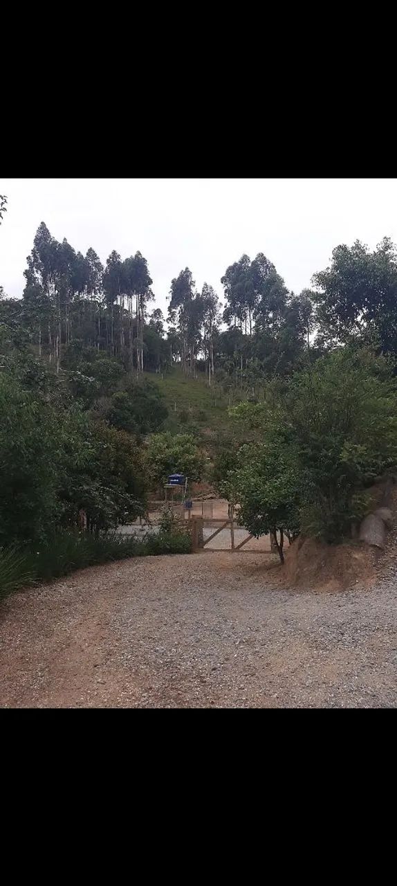 Vendo sitio  - Foto 3