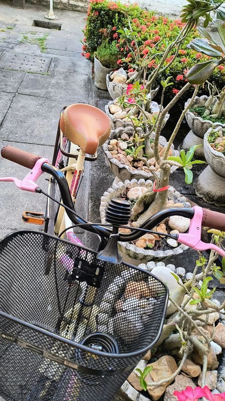 BICICLETA RETRÔ  - Foto 3