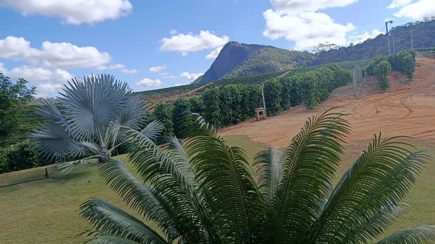 Terra com casa a venda  - Foto 4