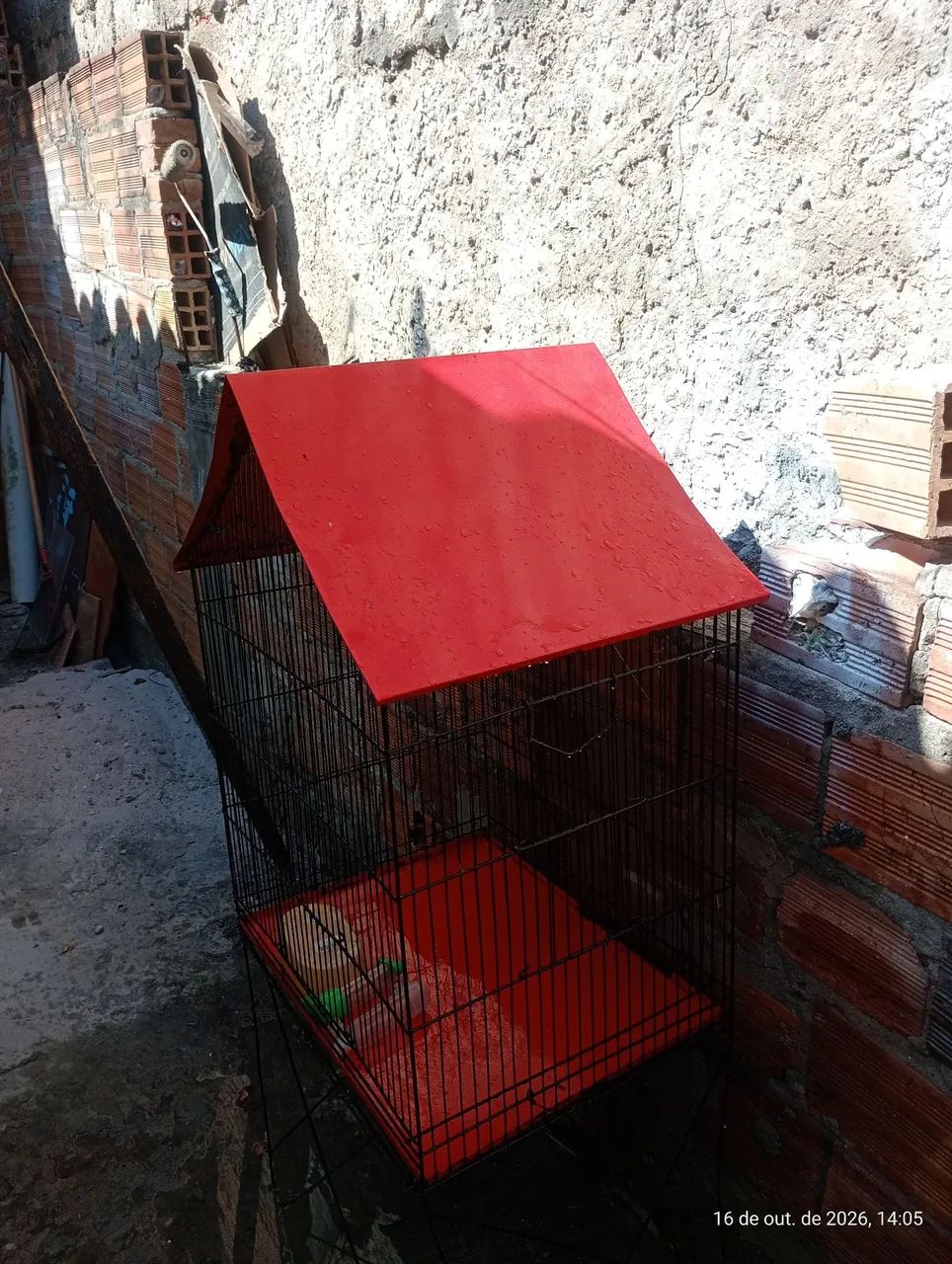 vendo gaiola  - Foto 2