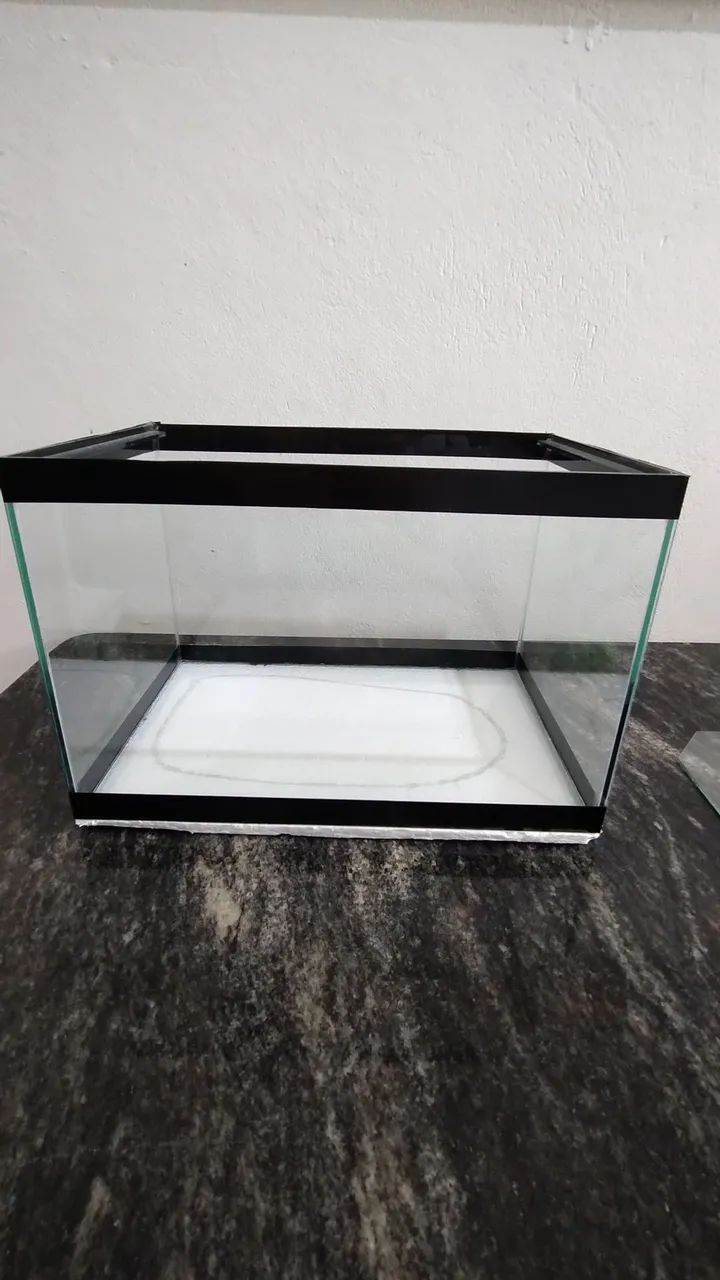 Aquário completo 