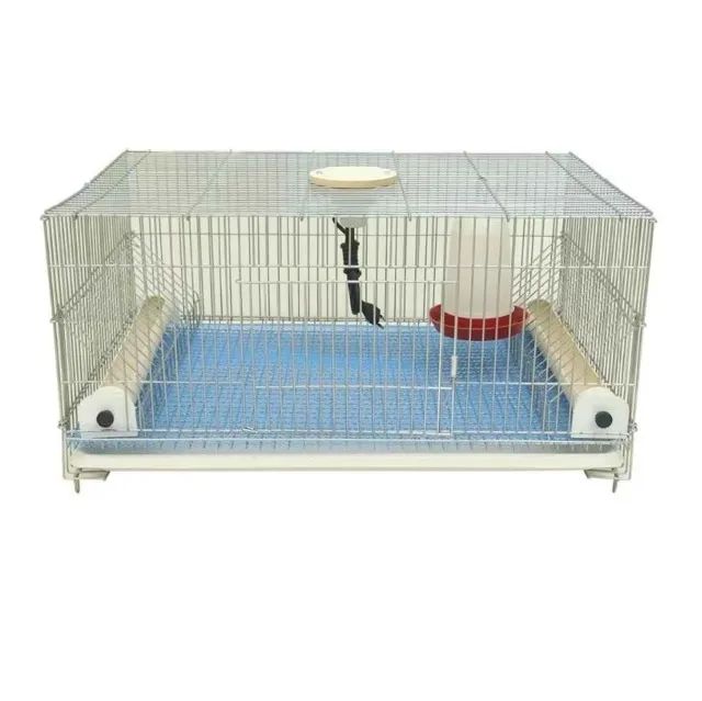 Mini Criadeira Para Pintinhos Com Bocal Para Aquecimento