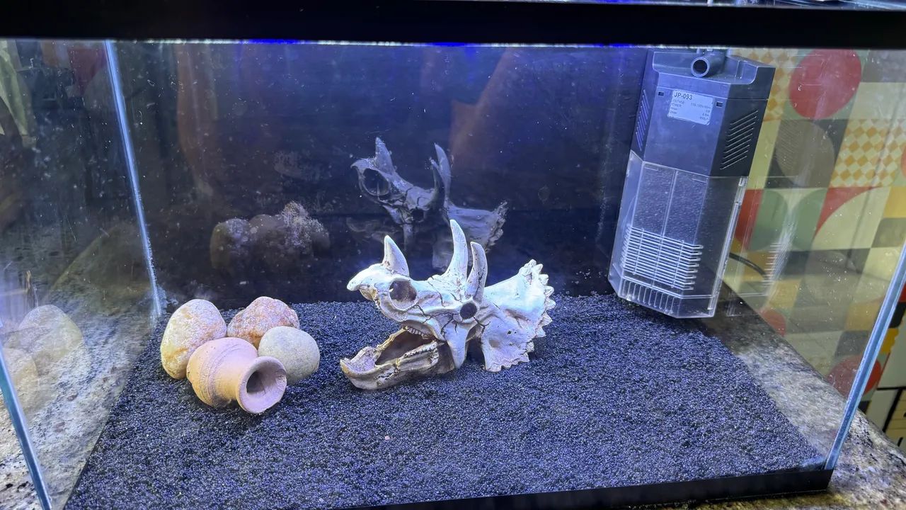 AQUÁRIO 30 LITROS  - Foto 3