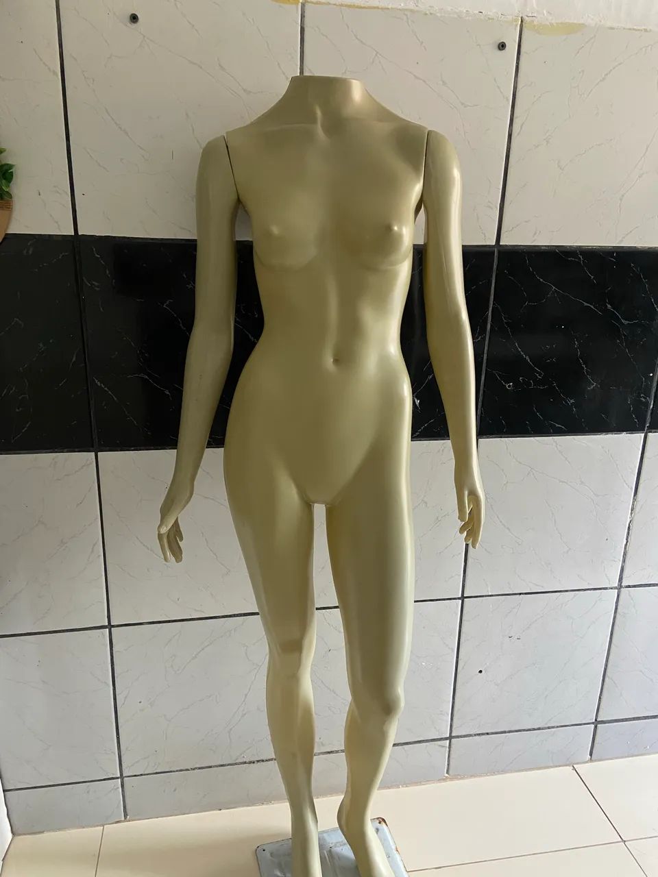 Manequim feminina 