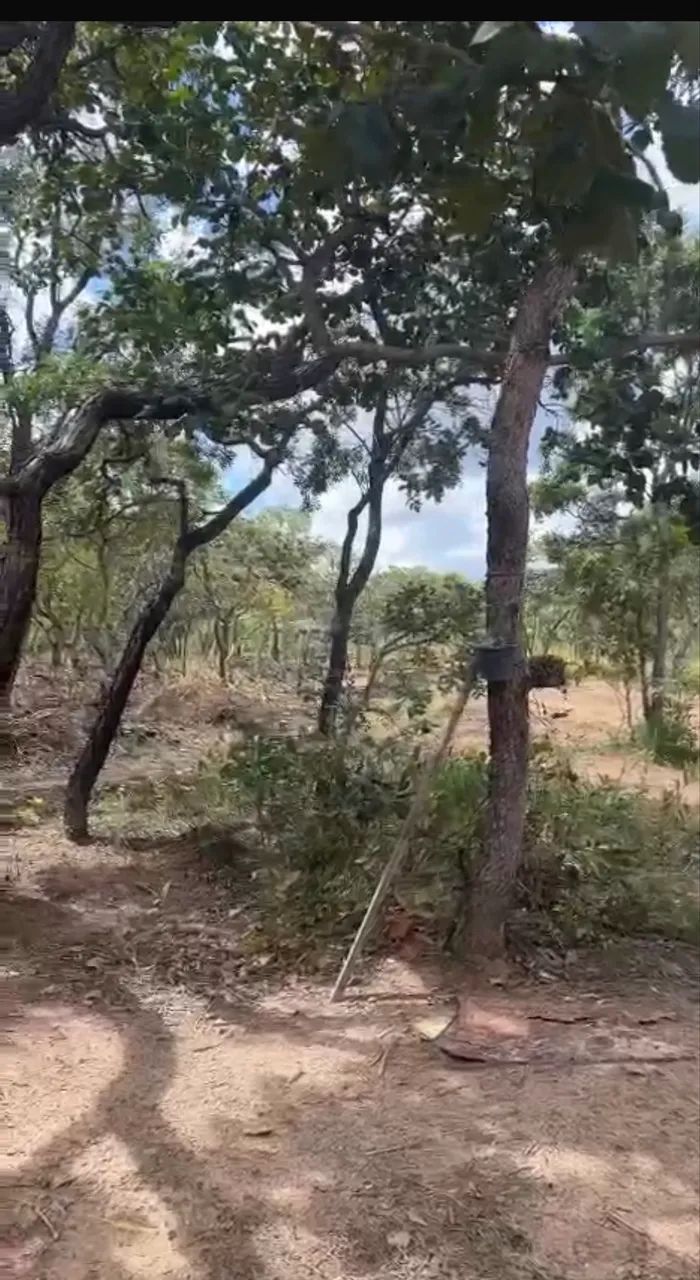 Foto - Três Marias - 