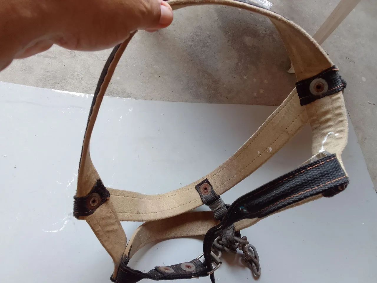 Peitoral para cães 64993721260289120
