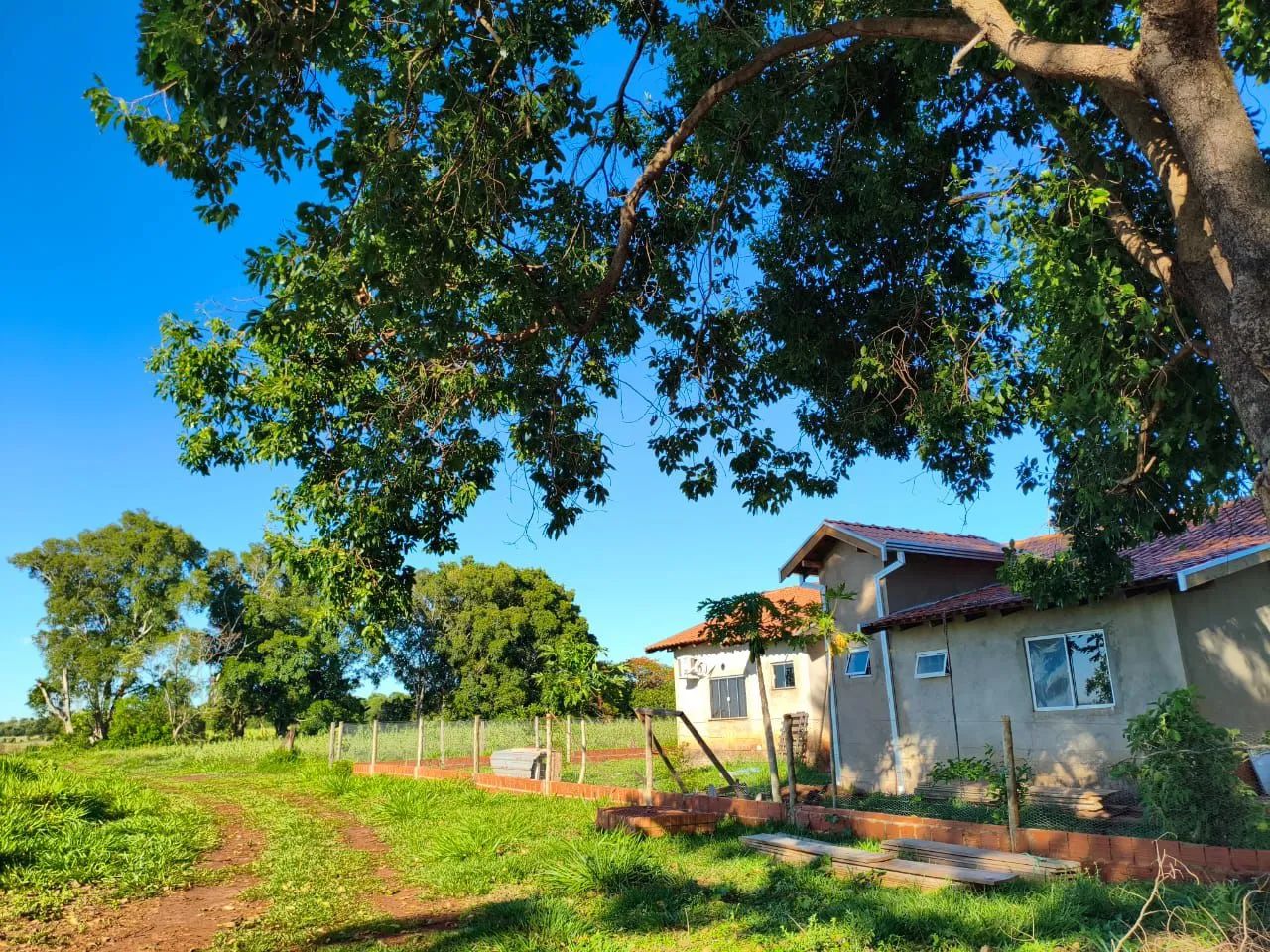 Chácara Ótima  - Foto 4