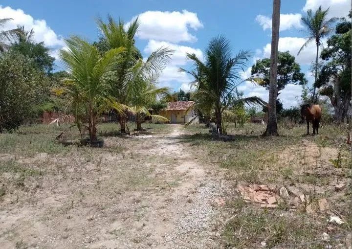 Bom e barato, em Aquidabã  - Foto 2