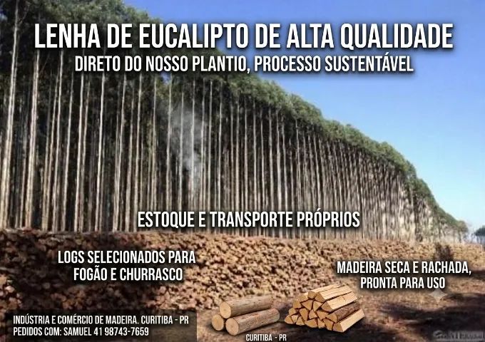 Lenha de Eucalipto - Foto 3