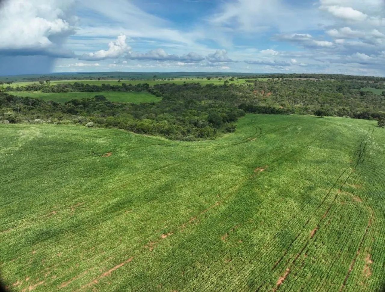 Fazenda no triângulo mineiro lavoura  - Foto 3