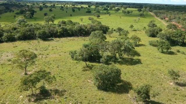 Fazenda em livramento 514 hectares - Foto 4