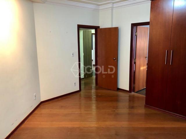 Apartamento à venda, 3 quartos, 2 vagas, cidade nova - franca/sp - Foto 16