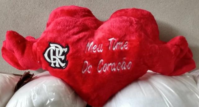 Cavalinho Do Fantástico Flamengo! - Foto 3