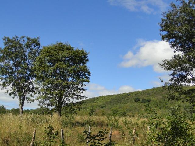 Fazenda 157 hectares na beira do rio Parauna - Foto 5