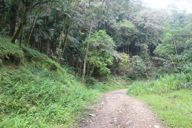 Área em Morretes - Foto 11