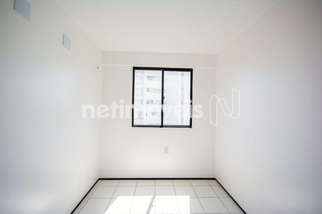 Apartamento para alugar com 3 dormitórios cod:776602 - Foto 9