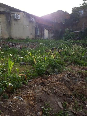 Terreno em são lourenço da mata - Foto 2