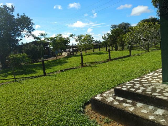 Fazenda 120 alqueires - Foto 4