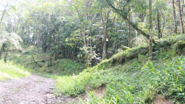 Área em Morretes - Foto 20