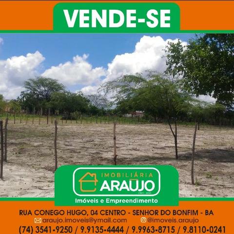 Vende-se uma chácara - Foto 3