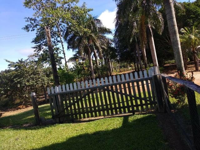 Fazenda 120 alqueires