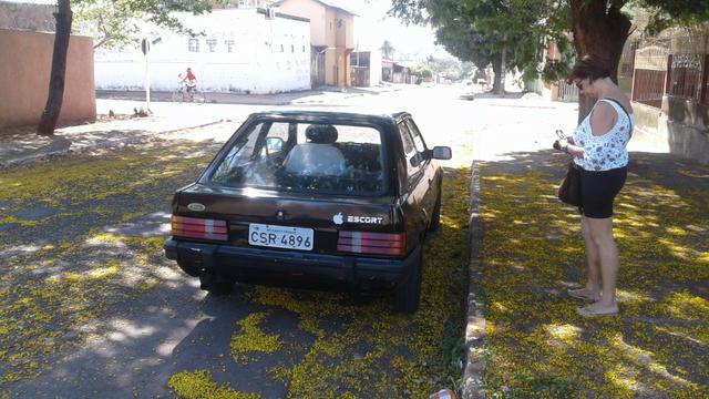 Escort L 86 álcool Relíquia