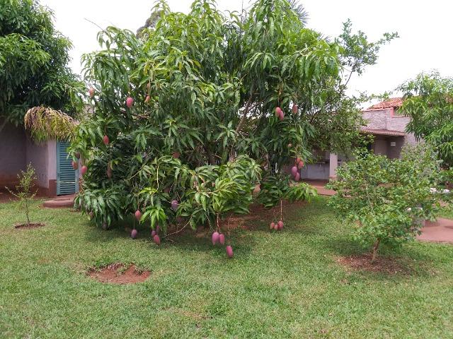 Excelente casa de 250 m2 em condomínio Top !!!! - oportunidade!!!! - Foto 14