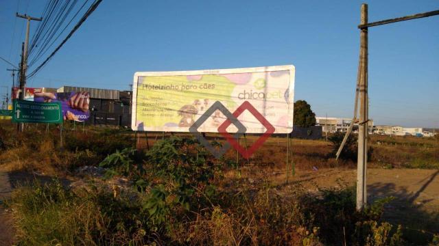 Terreno à venda, 4.200 m² - nova caruaru - caruaru/pe - Foto 9