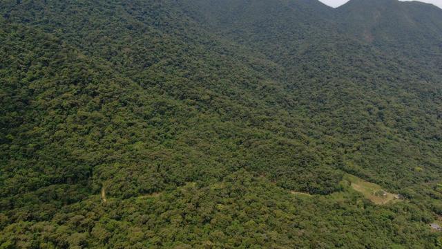 Área em Morretes - Foto 5
