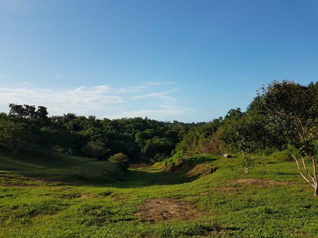 Fazenda a preço de ocasião - Foto 10