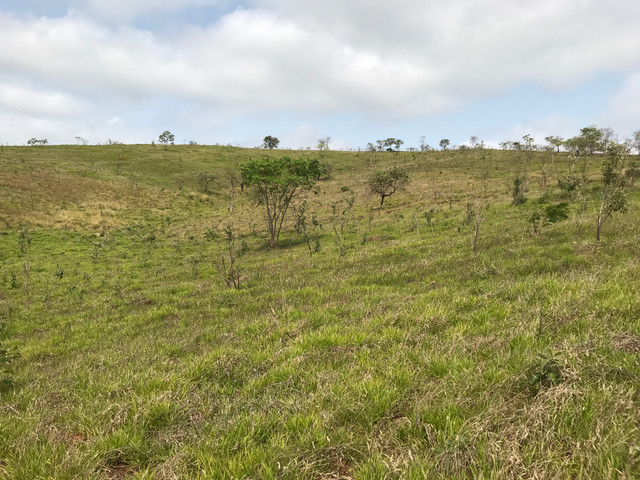 GL23/ Vende-se Lotes de 1000 metros em Mairinque SP - Foto 9