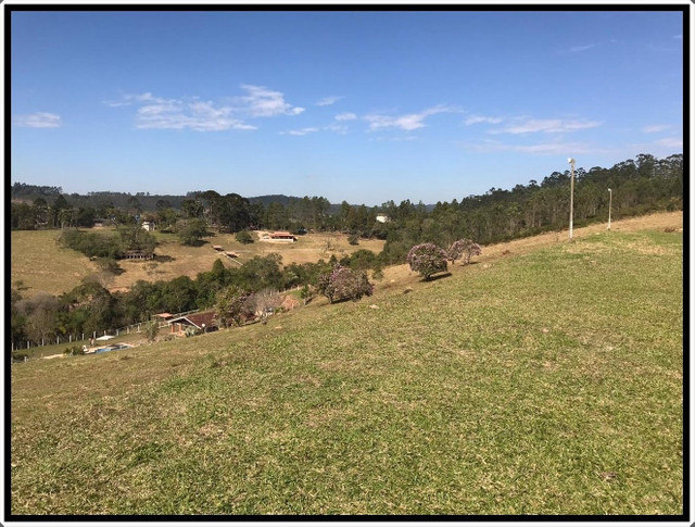 Vendo Lindo Sítio A 2km Da Rodovia Bunjiro Nakao - Foto 3