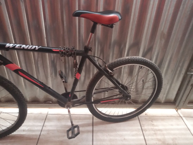 Vendo bicicleta wendy boa - Foto 3