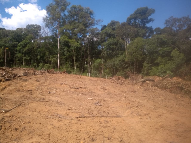 Valor de lançamento- Terreno em Pinhalzinho
