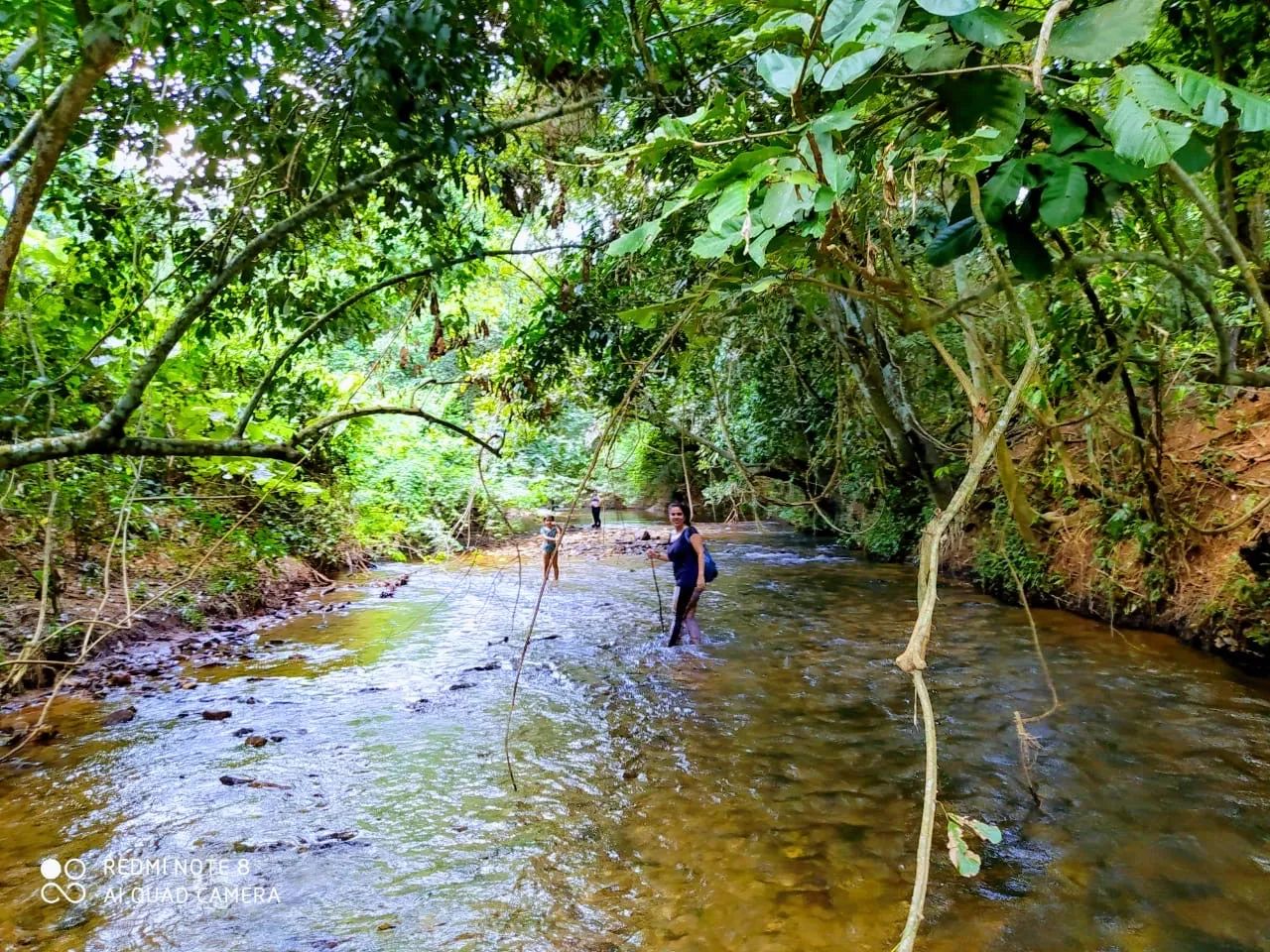 SÍTIO RANCHO PARAÍSO COM BEIRA DE RIO ARICÁ - Foto 4