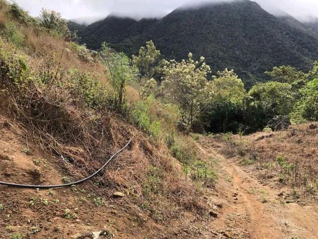 Vendo Sítio 3 Alqueires em Trajano de Moraes, RJ - Foto 2