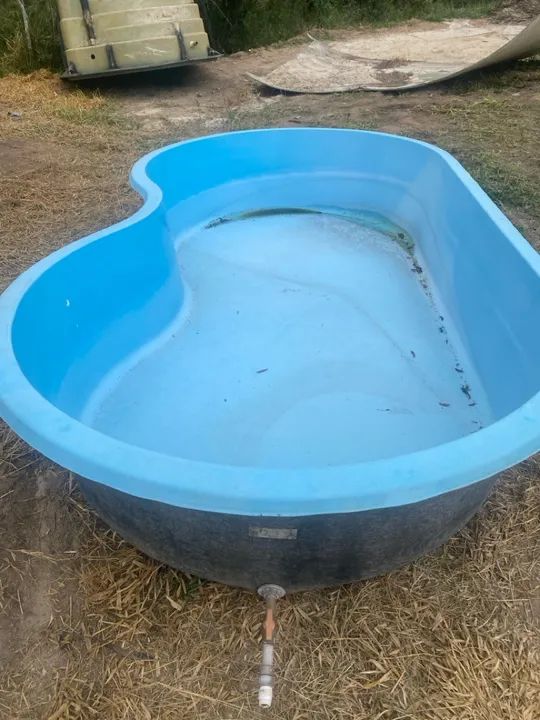 Piscina feijão 