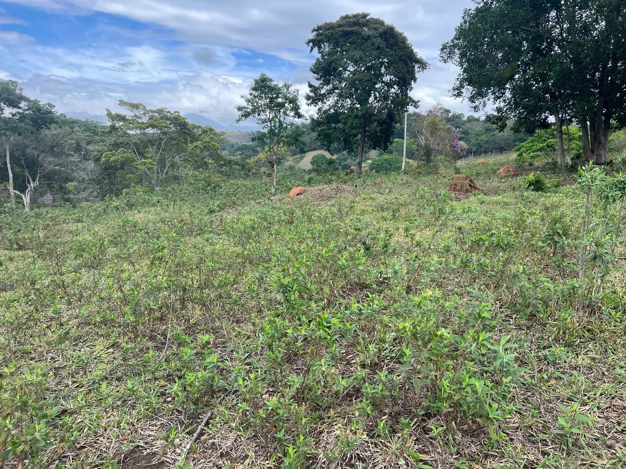 Lindas Chacaras  - Foto 3