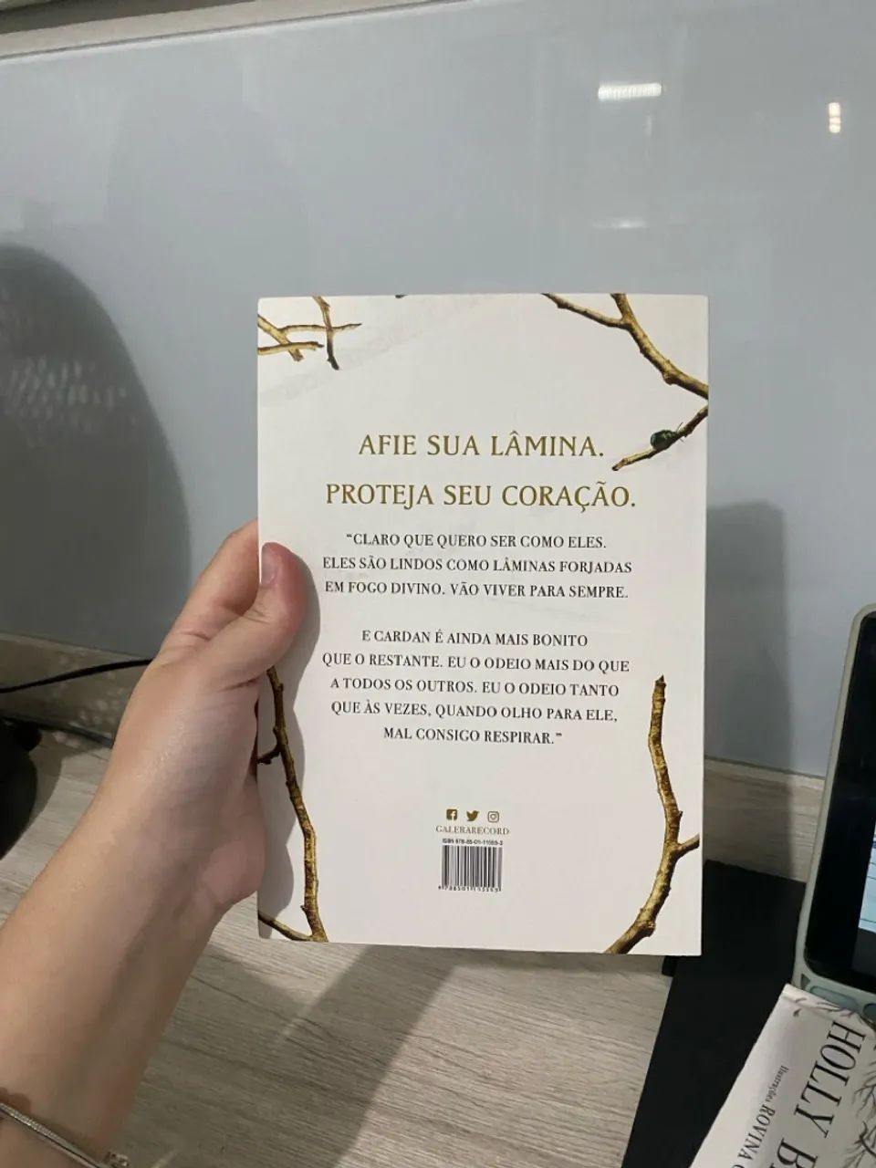 LIVRO O PRÍNCIPE CRUEL - HOLLY BLACK - Livros e revistas - Areias, Recife  1450071324 | OLX
