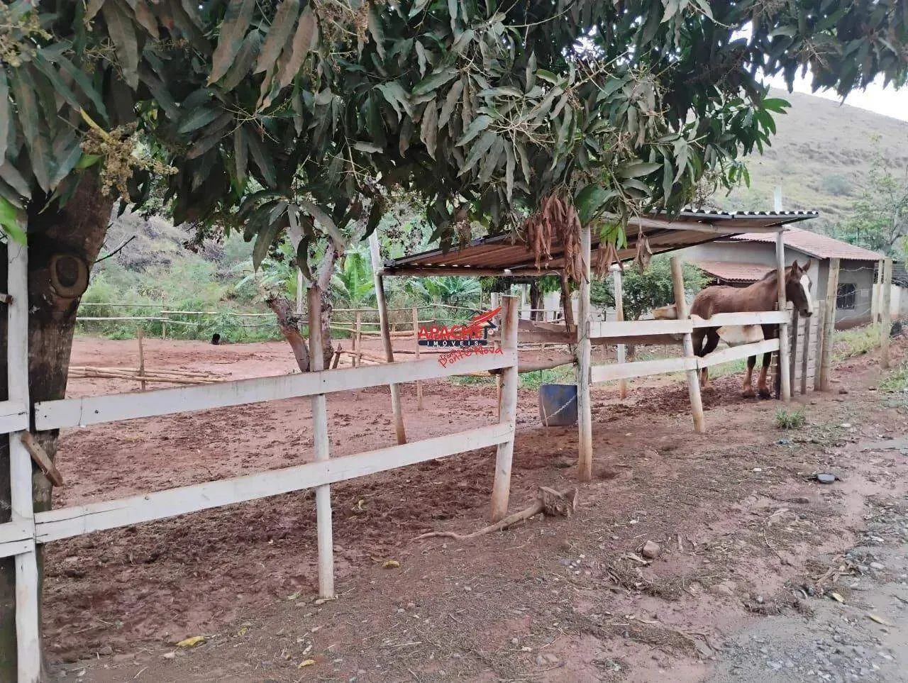 Chácara à venda, ZONA RURAL - Ponte Nova/MG - Foto 3