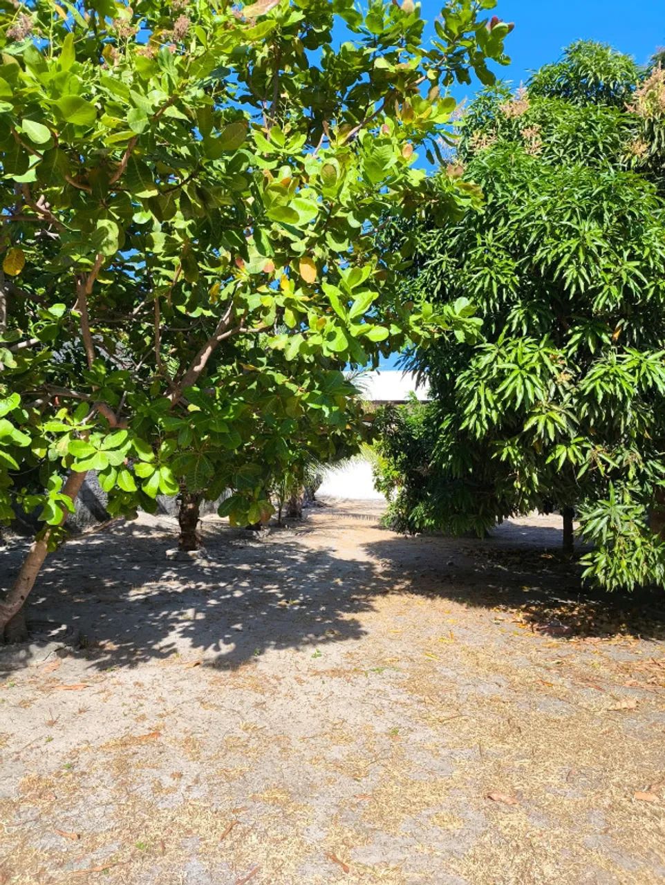 Terreno no condomínio Vivenda dos Ramalhetes com 422m²  - Foto 3