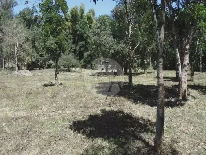 Terreno para venda, 10000m² - Itaipava - Petrópolis/RJ - Foto 3