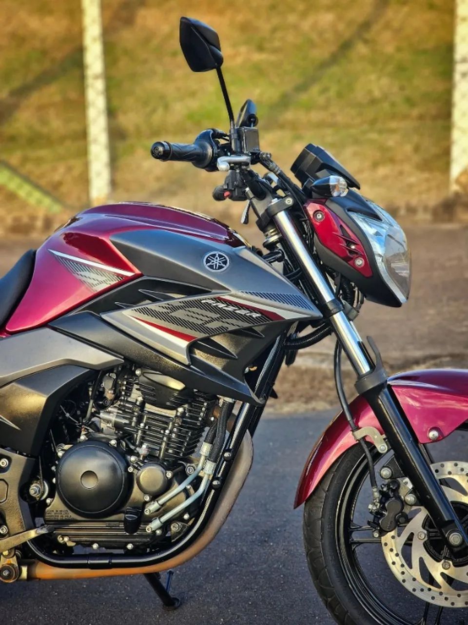 Yamaha Fazer 250 Fazer 2017 Model Price Yamaha FZ-25 ABS Moto