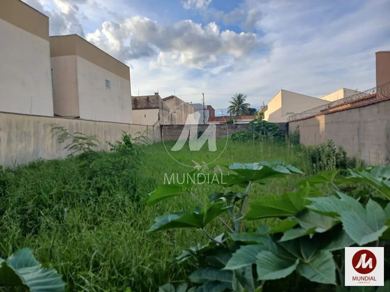 Terreno (terreno normal) - Foto 3