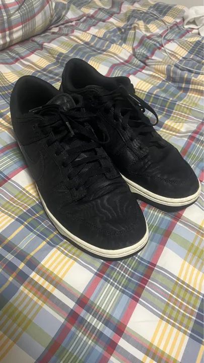 Nike Dunk RPM e Nature (2 Dunks)